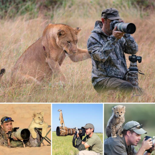 Hey, I’m here! The story attracted netizens’ attention to a photographer by introducing an adorable photography assistant on an outdoor expedition