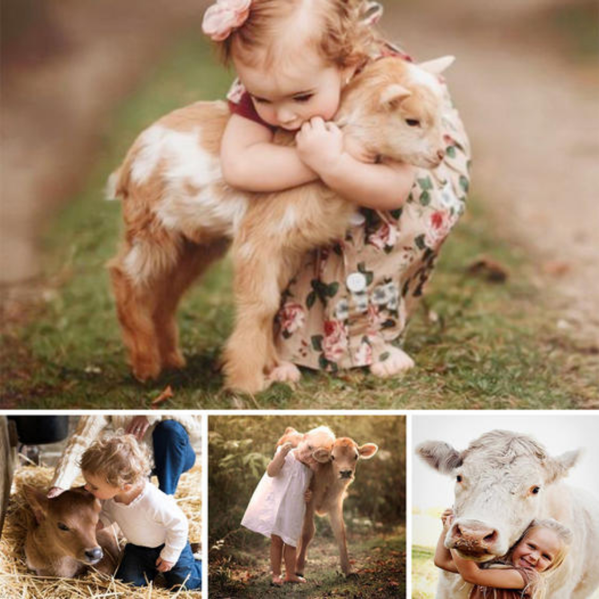 A kid’s love saved a lonely calf. Now they’re inseparable pals!