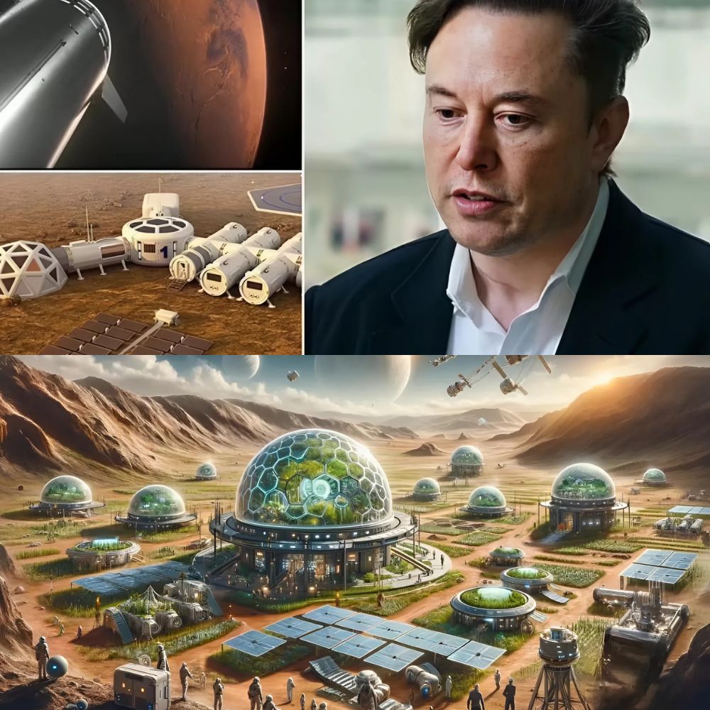 🚨 Elon Musk’s secret Mars garden could pave the way for sustainable life on Mars